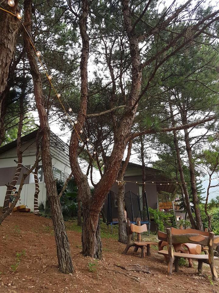 Bachlien Pine Forest Villa Hanoi Exteriör bild